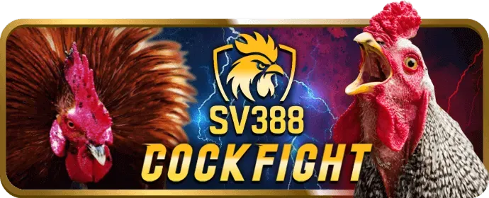 Ưu điểm và cách chơi cá cược thể thao Win999